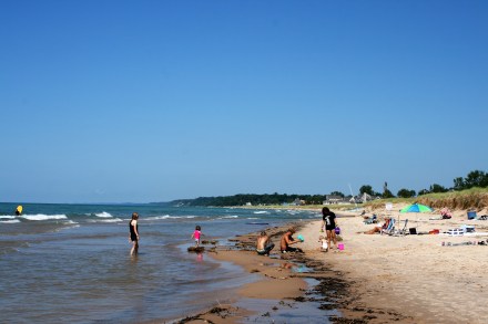 IMG_0025Tiscornia Beach