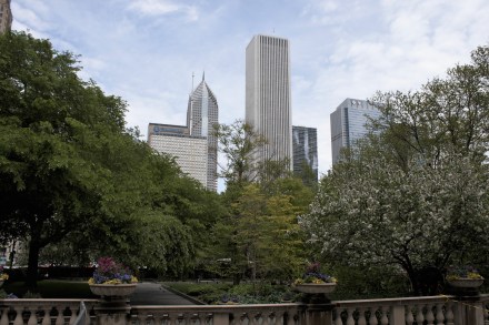 _MG_0069 (2)Looking north across millennium Park