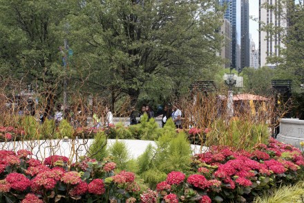 _MG_0075 (2)Millennium Park