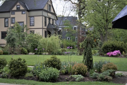 _MG_0091 (2)A front garden, Oak Park