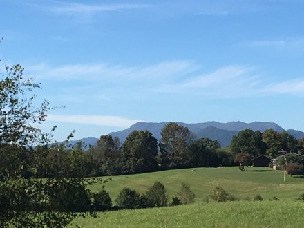 D17CD9DF-8033-40E8-BEF3-31E6EC3BD84F