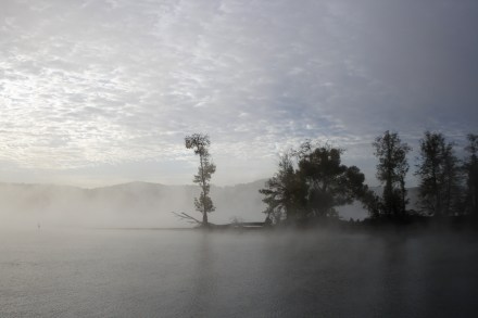 _MG_0008 (2)Morning at Denson's Island